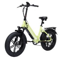 Bicicleta eléctrica de montaña Fat Tire Bodywel F20PRO 250 W, batería 48 V 18 Ah - Marca Bodywel - Nuevo
