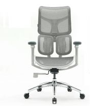 SIHOO Doro S100 Chaise ergonomique - Double support lombaire dynamique & dossier 5x réglable - Accoudoirs 4D - Coussin réglable - Certifié BIFMA/SGS -
