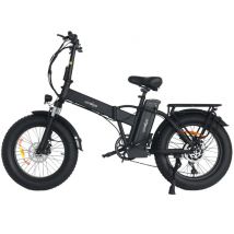Windgoo F21 Pro Vélo Électrique - Moteur 250W Batterie 48V 12.5Ah 20x4.0 Pouces Pneus - Noir