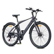 Bicicletta Elettrica ENGWE N1 AIR | Velocità Massima 25 km/h | Autonomia 100 km | Motore 250W | Batteria 36V 10Ah | Pnei da 27.5 PolliciT | Grigio | 