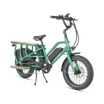 Bici da carico elettrica JOBOBIKE Transer 48V13AH Doppia Batteria - Nuovo