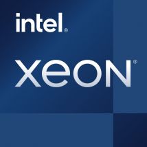 Intel Xeon Processeur E-2324G (8 Mo de cache, 3,10 GHz)