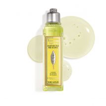 Sommer-Verbene Erfrischendes Shampoo 250ml - L'Occitane