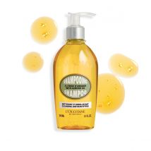 Almond Shampoo 240ml - L'Occitane en Provence