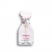 Herbae par L'OCCITANE L'Eau Eau de Toilette - 50 ml - L'Occitane en Provence