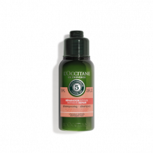 Intensive Repair Shampoo (Travel Size) - 75 ml - L'Occitane en Provence