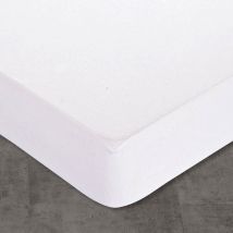 Protège matelas 120x190 - blanc - Coton - Becquet