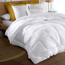 Oreiller moelleux 60x60 - blanc - Becquet