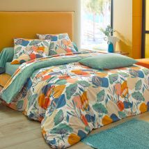 Drap-housse 160x200x28 - vert - Coton - Becquet