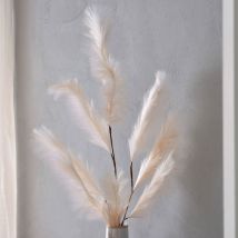 Graminée décorative - beige - Becquet