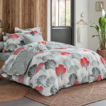 Housse de couette 200x200 - bleu - Coton - Becquet