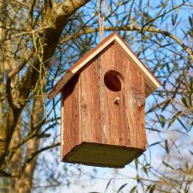 Nichoir à oiseaux - marron - Bois - Becquet