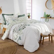 Drap-housse 160x200x28 - vert - Coton - Becquet