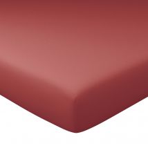 Drap-housse grand bonnet 140x200x30 - orange sienne - Coton - Becquet