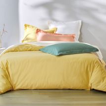 Drap-housse 180x200x28 - vert cèdre - Coton - Becquet