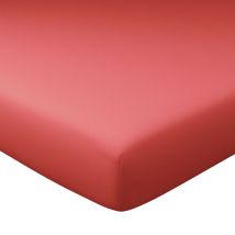 Drap-housse grand bonnet 160x200x32 - rouge grenade - Coton - Becquet