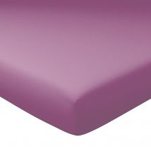 Drap-housse grand bonnet 90x190x40 - violet aubergine - Coton - Becquet