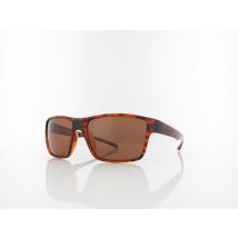 Red Bull SPECT CHASE 04P 59 havana / brown