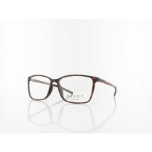 SPECT EYEWEAR Tusmore 002 56 havanna
