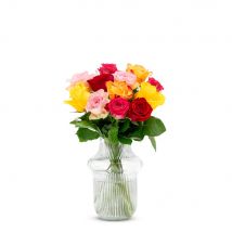 Fred van Leer | Brievenbusbloemen | Rozen | Kleurenmix | Letterbox Flowers