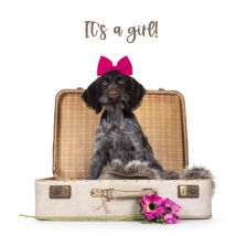 Catchy Images | Geboortekaart | It's a girl! | Giant Square Card