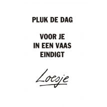 Loesje | Pluk de dag voor je in een vaas eindigt | Giant Card