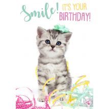 Studio Pets | Verjaardagskaart | kat | confetti | Giant Card