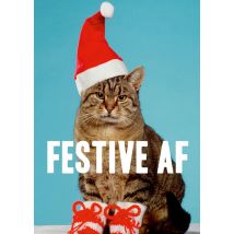 Dean Morris | Kerstkaart | kat | grappig | Large Card