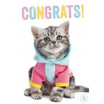 Studio Pets | Verjaardagskaart | katje | congrats | Standard Card