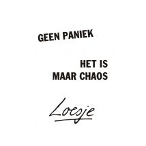 Loesje | Geen paniek het is maar chaos | Giant Card