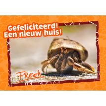 Freek Vonk | Nieuwe woning kaart | Heremietkreeften | Large Card