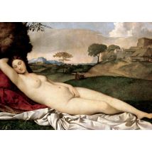 Klaas de Jong | Giorgione. Slapende Venus | Giant Card