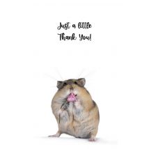 Catchy Images | Bedankkaart | hamster | Postcard