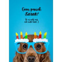 Catchy Images | Verjaardagskaart | Hond | Standard Card