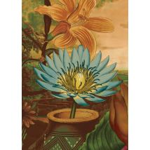NIN-NIT | Beterschapskaart | Bloemen | Giant Card