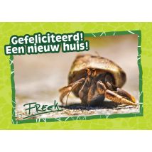 Freek Vonk | Nieuwe woning kaart | Heremietkreeft | Large Card