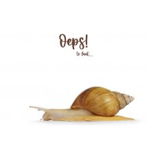 Catchy Images | Verjaardagskaart | te laat | slak | Giant Card