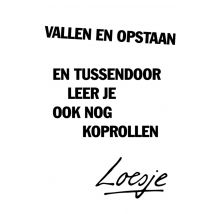Loesje | Denken aan kaart | vallen en opstaan | Large Card