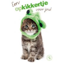 Studio Pets | Beterschapskaart | Een opkikkertje voor jou | Postcard