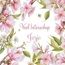Janneke Brinkman | Beterschapskaart | Veel beterschap + naam | Square Card