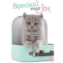 Studio Pets | Vriendschapskaart | kitten | koffer | Giant Card