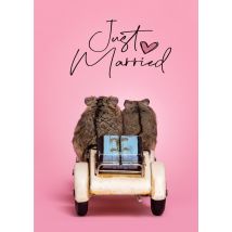 Catchy Images | Huwelijkskaart | Just Married | Giant Card