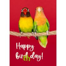 Catchy Images | Verjaardagskaart | Vogels | Standard Card