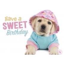Studio Pets | Verjaardagskaart | hondje | Giant Card