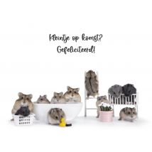 Catchy Images | Zwangerschapskaart | hamsters | Giant Card