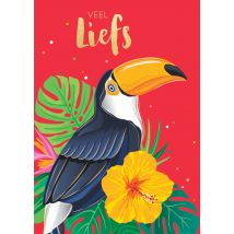 TMS | Zomaar | Vrouw | Toekan | Postcard