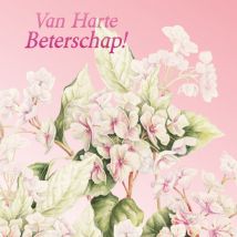 Janneke Brinkman | Beterschapskaart | Witte bloemen | Giant Square Card