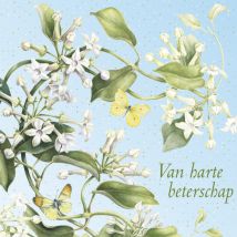 Janneke Brinkman | Beterschapskaart | Bloemen met vlinders | Square Card