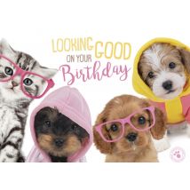 Studio Pets | Verjaardagskaart | stoer | hondjes | Large Card