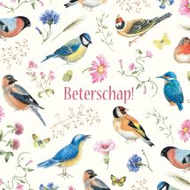 Janneke Brinkman | Beterschapskaart | Vogels, bloemen en vlinders | Giant Square Card